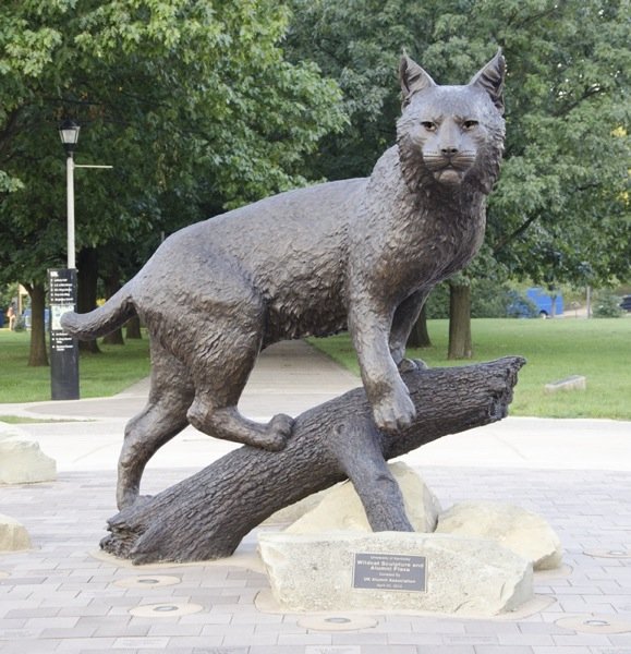 TeamWildcat's tweet photo. Bowman is waiting for you at Scavenger Hunt Location 2! Find our leaders to get your prize. https://t.co/64Tq5cPlV8
