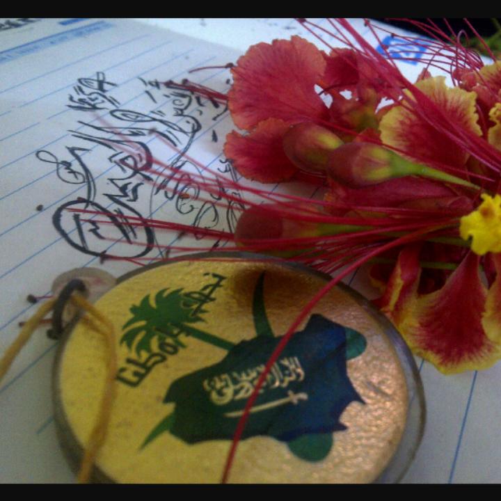 طُموحِي كَما فُقعاتٌ مَاءَ تَبخَرتْ معَ ذُراتٌ هَواءَ فَكتفَى أَنَّ يَكونَ حُلمْ .. وآههٍ ثَما آهٌه ....