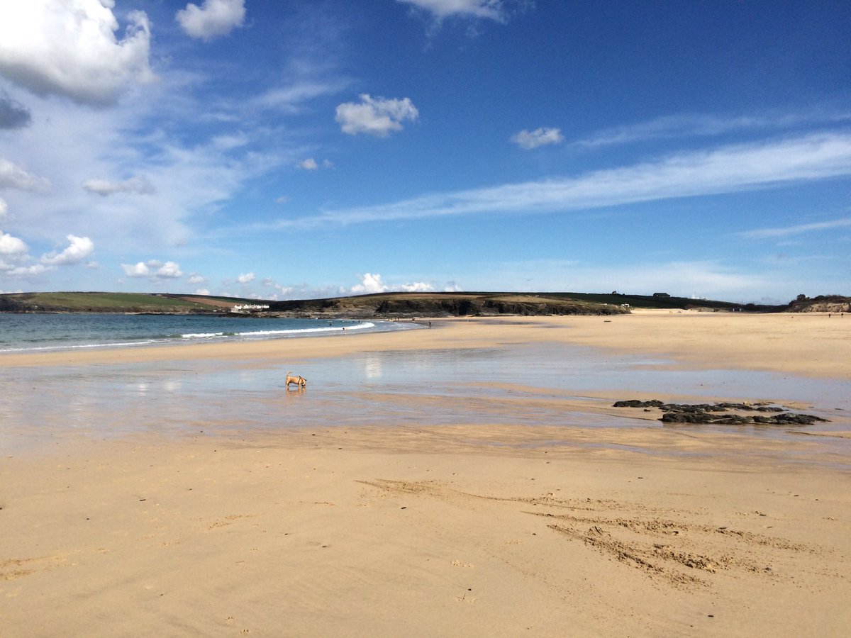 harlynsands's tweet photo. Another lovely Spring day at Harlyn Sands holiday park, Cornwall.#noplaceidratherbe https://t.co/EuJf6hHqVO