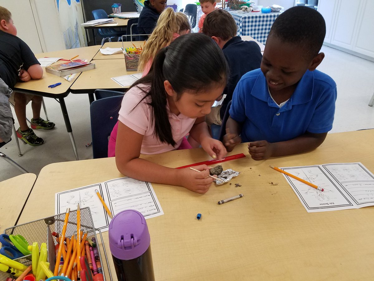 FSEtracyteach's tweet photo. "We think we found a vole skull" #sciencesoars @Freedom_Shores https://t.co/8bRJ3rMIKk