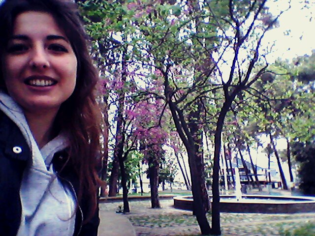 kateroussh's tweet photo. This is how spring looks ♥ #beauty #spring #flowers #green #purple #nature https://t.co/K3CFhr2cBF