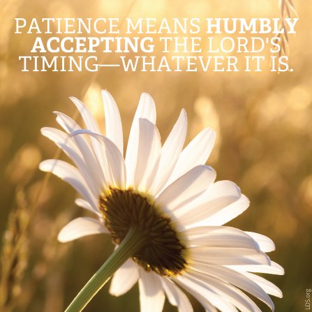 LDSsotd's tweet image. Patience means humbly accepting the Lord’s timing…
—Sarah Jenkins
buff.ly/1SZ7372
#sharegoodness #LDS