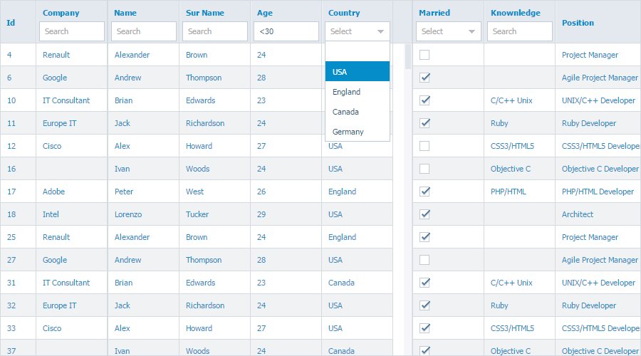 FancyGrid's tweet image. #FancyGrid #Filtering
fancygrid.com/dashboards/cli…
#grid #table #javascript #jquery #angular #filter