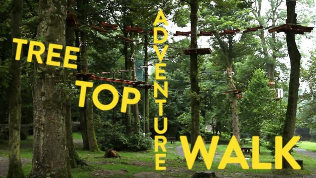C_DiscoveryPark's tweet photo. Book ahead for the weekend - Tree-Top Walk, Climbing Wall, Leap of Faith open Sat &amp; Sun from 12pm (0564440707) https://t.co/Egn8Ah5wgl