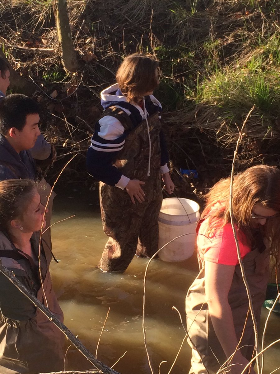 fhcwilmes's tweet photo. Branden fishing in the creek, his mother will be so proud! #MocoElectrofish https://t.co/3aYNEYOB9D