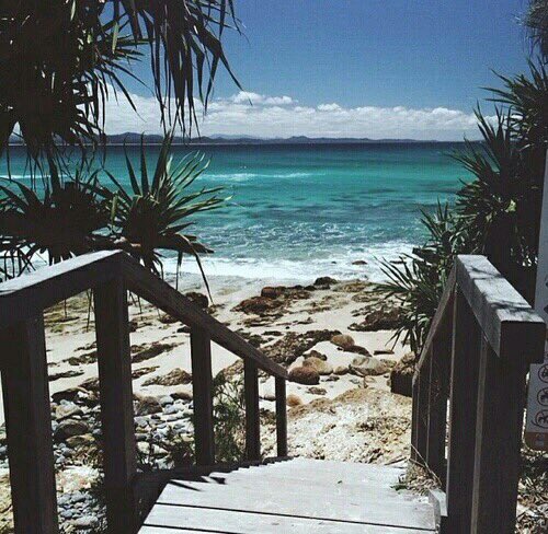 tmblrvibes's tweet photo. waiting for summer ☀️🌴 https://t.co/HAAYZq3LE2