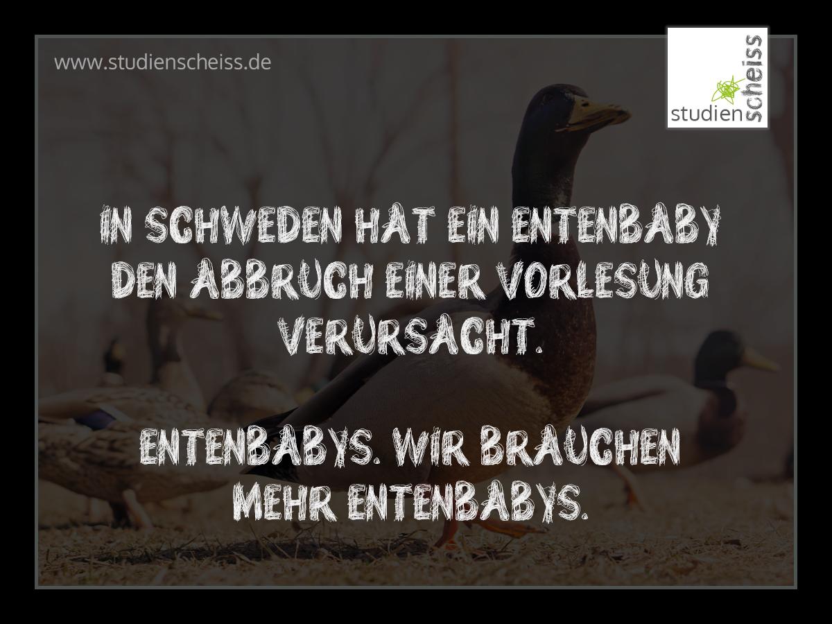 Studienscheiss's tweet photo. Das wäre eine Maßnahme! #entenbaby #vorlesung
@campus_magazin @studisonline @CampusCompassDE @UniJungleBlog https://t.co/c2GVUZJZWF