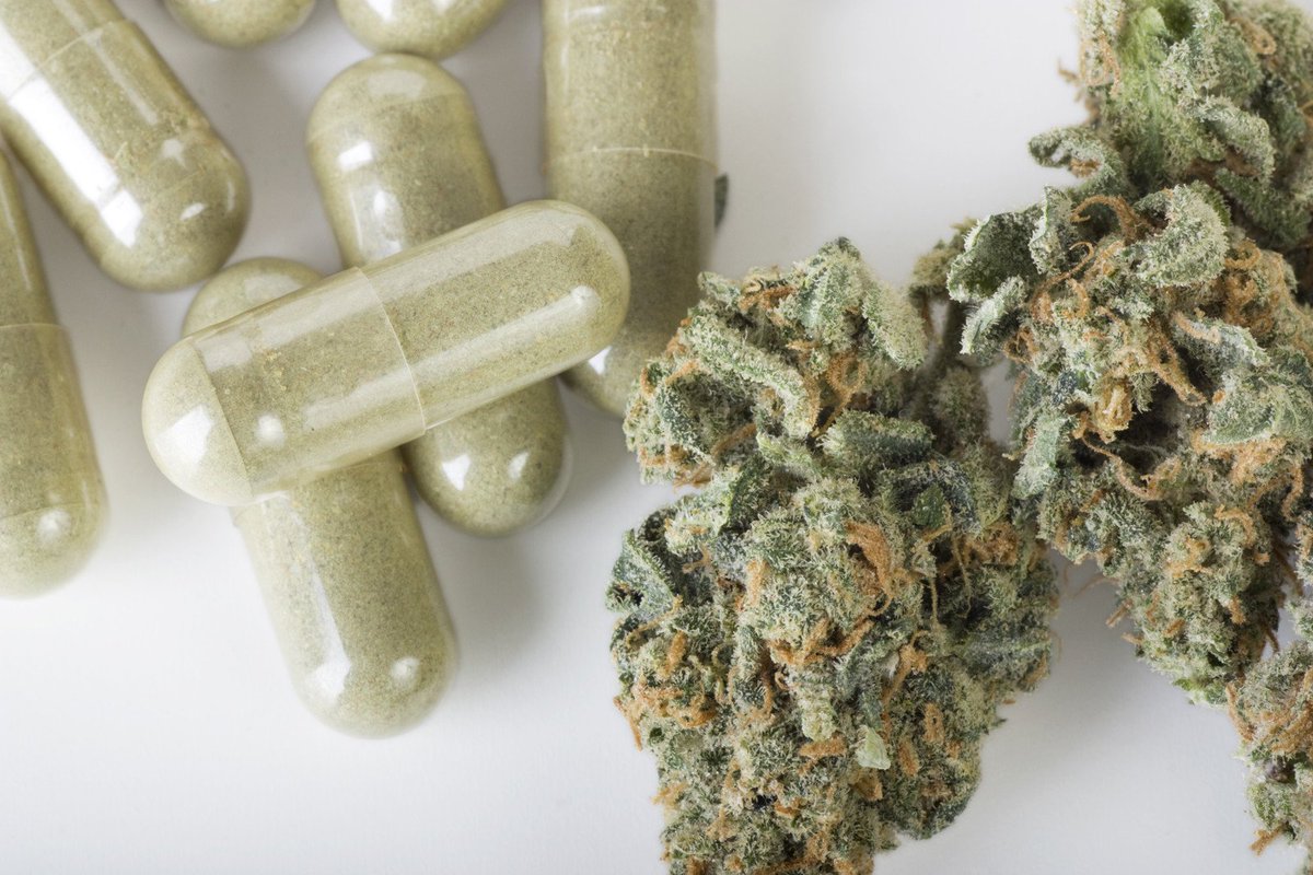 Alpine_Labs's tweet photo. ‘Decriminalise cannabis’ say almost half of Brits https://t.co/QoOFQ87kE9 https://t.co/iphacWSf6i