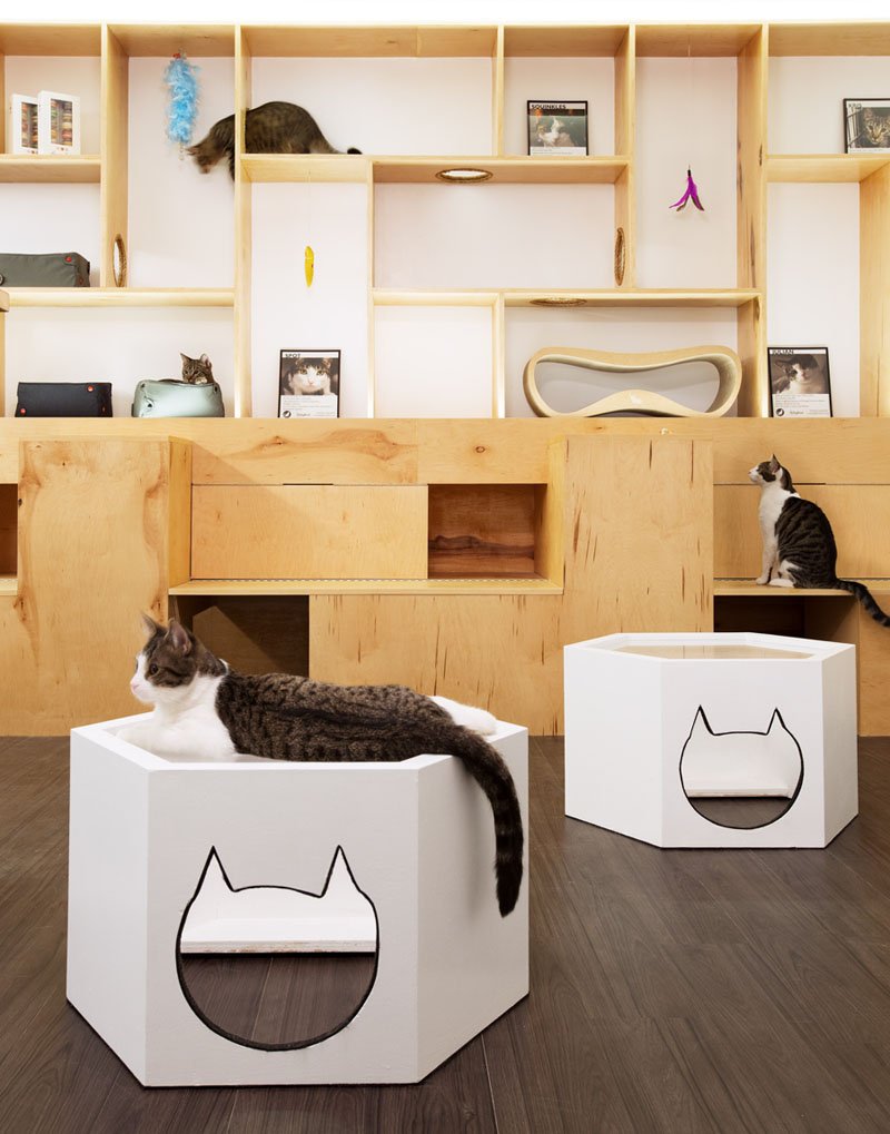 mk4interior's tweet photo. happy #NationalPetDay spoil your pets with a beautiful #interior https://t.co/DzaTXjBe7Y