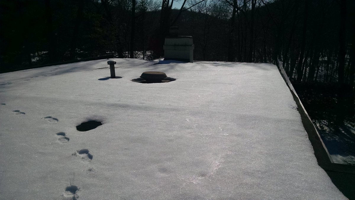 TerraHomeInsp's tweet photo. A little #snow on a #flat #roof doesn't stop us! Gotta #inspect the #roof whenever possible #defects #roofing https://t.co/ssICqu10oO