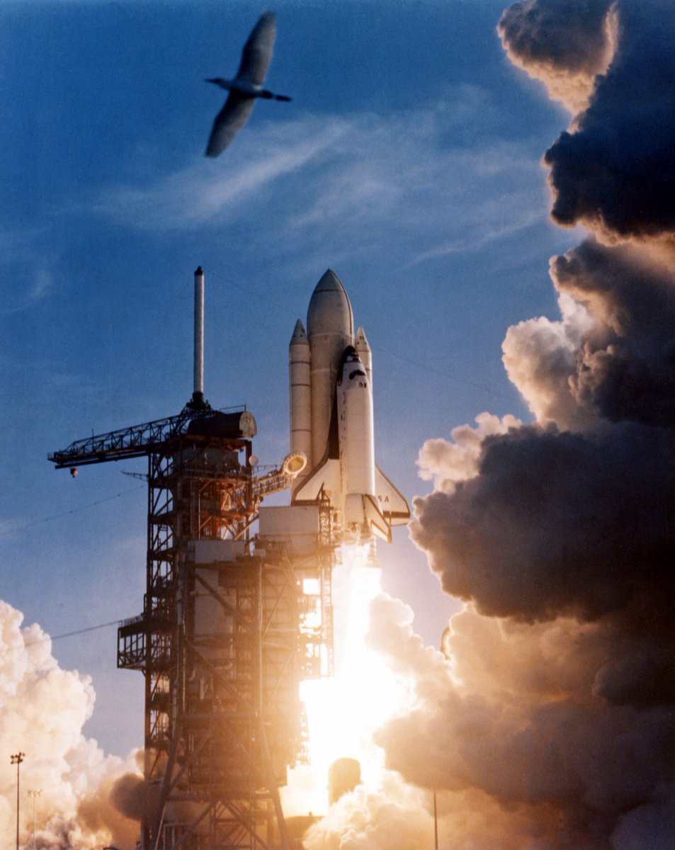 TodaysDocument's tweet image. #SpaceShuttleColumbia lifts off on @NASA&apos;s 1st shuttle flight 35 yrs ago #TDiH todaysdocument.tumblr.com/post/142683912… @NASAhistory