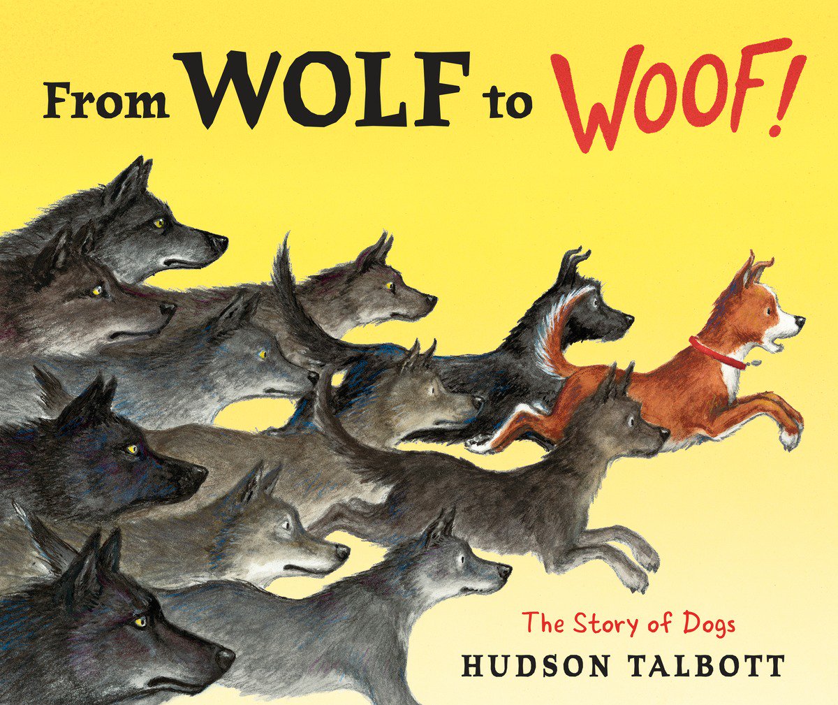 penguinkids's tweet image. Happy #bookbirthday to #FromWolftoWoof by Hudson Talbott! bit.ly/23ruQoh