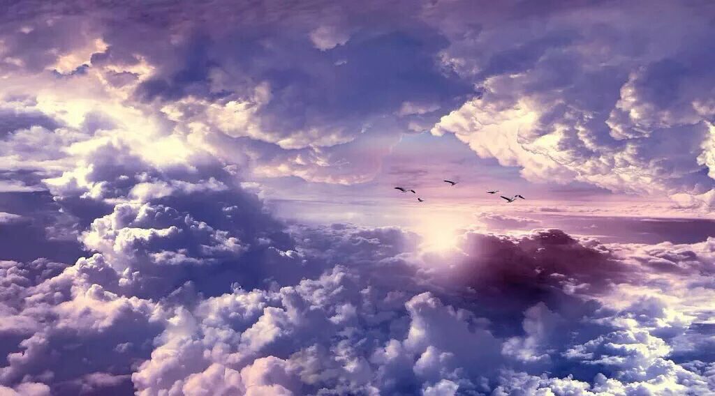 Consuelo_LR's tweet photo. Un corazón agradecido atrae las más grandes bendiciones...
#FelizMartes❤️ https://t.co/CLvHsSrwCb