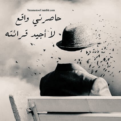 FatimaSaidi7's tweet photo. https://t.co/yEs9QZk7Tz