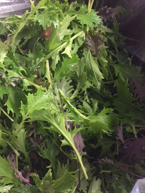 Look at the gorgeous products heading out from Jones Valley and Marsh Farm into Bham Restaurants today!