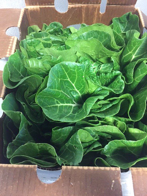 EatTheHam's tweet photo. Look at the gorgeous products heading out from Jones Valley and Marsh Farm into Bham Restaurants today! https://t.co/qlfTYcSsxC