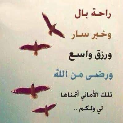 FatimaSaidi7's tweet photo. https://t.co/yEs9QZk7Tz
