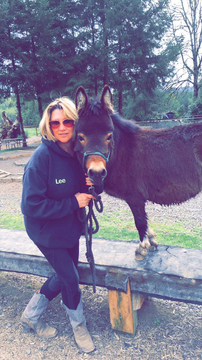 jleecowgirl's tweet photo. Loving life on our farm! Training the new discipline of Mountain Trail.
#markbolender #workinginAmerican https://t.co/FHJoi2NrvN