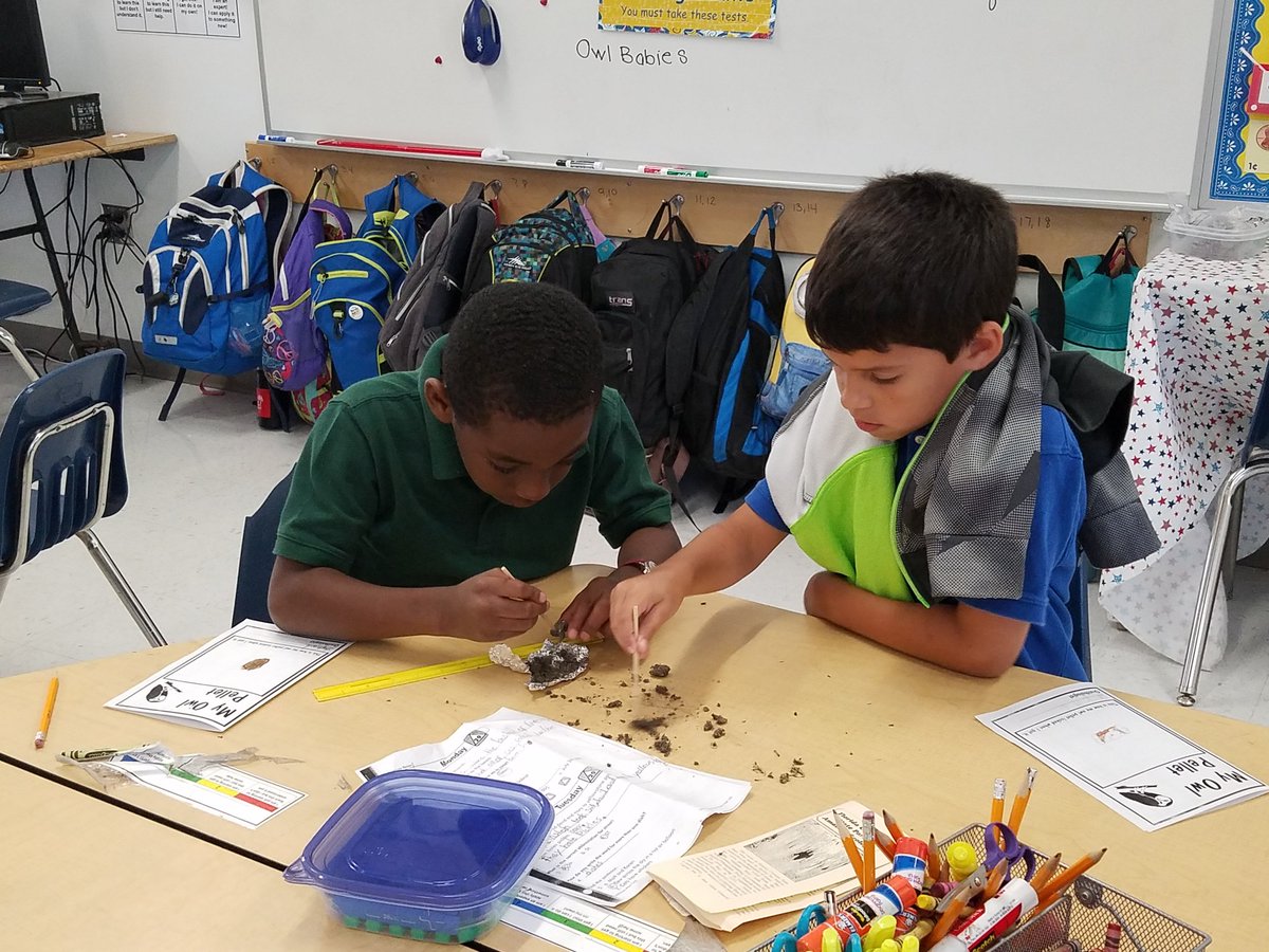 FSEtracyteach's tweet photo. Orinthologists hard at work #sciencesoars @Freedom_Shores https://t.co/JaJUga2WdD