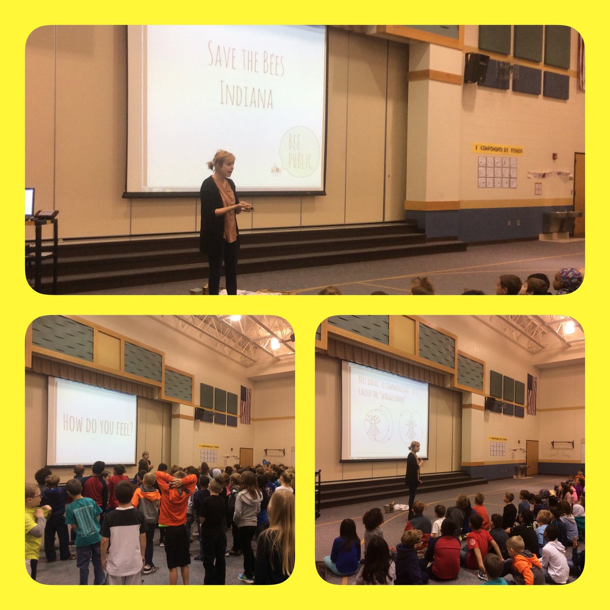 MrsKing2nd's tweet photo. Thank you @katefranzman for an amazing presentation about bees! #beekeeperKate #savethebees #beeexpert https://t.co/p6fXd3cYil