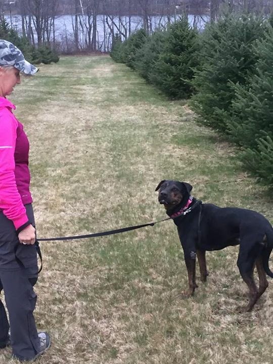 Phantom is now home! She has her own private lake and a 60 acre tree farm to frolic in! #happyending