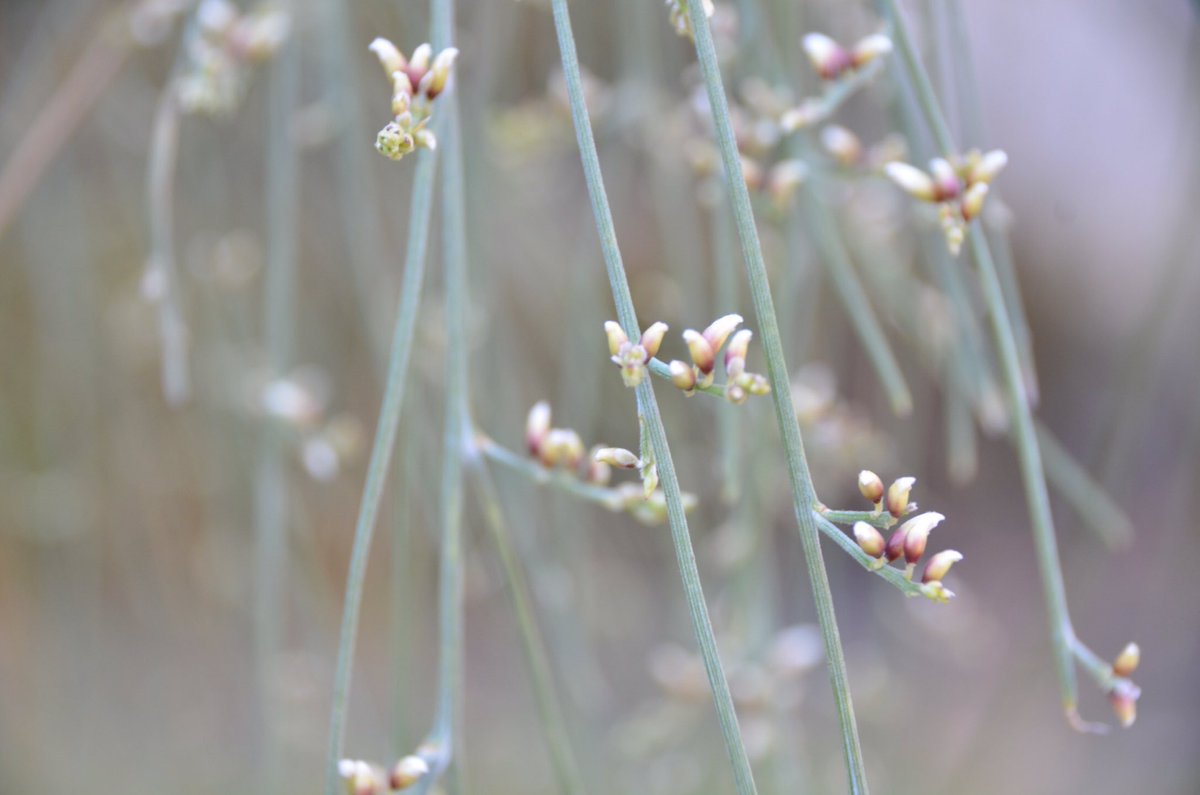 #springtime