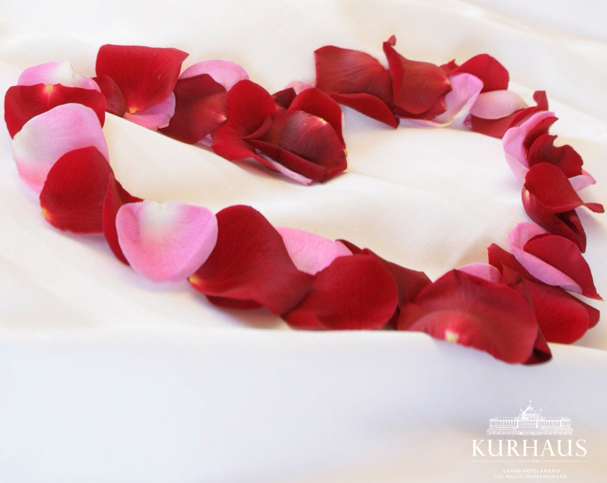 Vier Moederdag ih Kurhaus &amp; zet uw moeder extra in het zonnetje! Alle info: amrathkurhaus.com/nl/speciale-aa… #thisisthehague