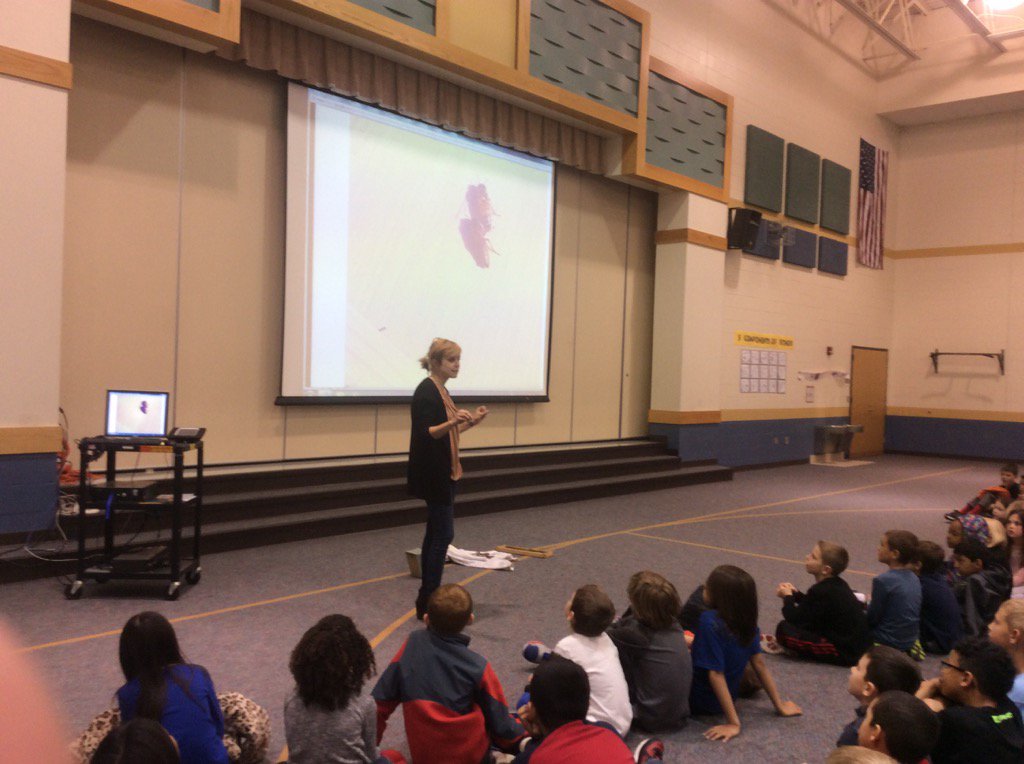 MrsKing2nd's tweet photo. Learning how bees choose their next queen from @katefranzman! #savethebees #beekeeperKate https://t.co/0Ebw6tlF24
