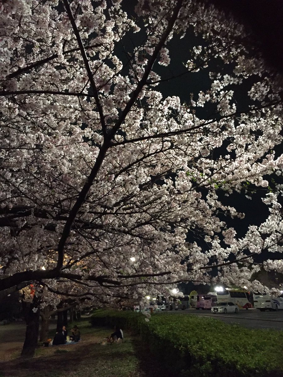 山秋享子형옥osaka tennoji (@qqguesthouse) on Twitter photo 