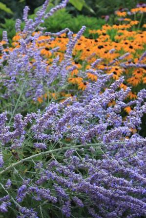 janjohnsen23's tweet photo. Please share my garden design tips: https://t.co/GmYqRNzEiF @rockandroses_ @GardenChirps @stephminkoff #gardendesign https://t.co/uHQcLaIc4K
