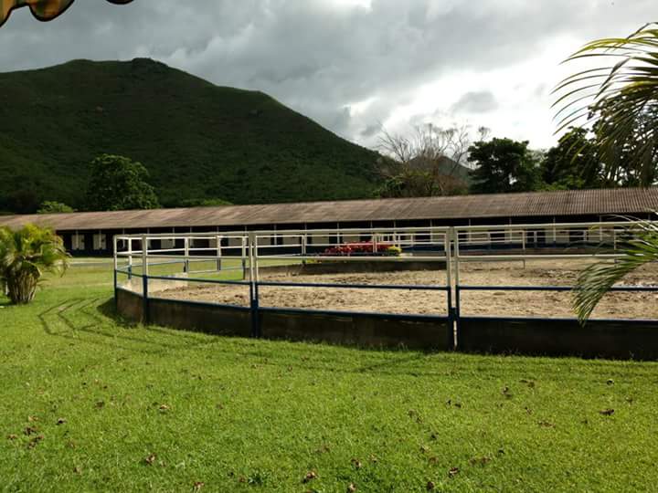 Sundualranch's tweet photo. #LaVeguita  #caballosalaventa #SDR https://t.co/TYsxH9Y0TP 💪🐂🐴 Lo mejor de la vida #vidadevaqueros #LasCosasComoSon https://t.co/vAZNaJDxmm