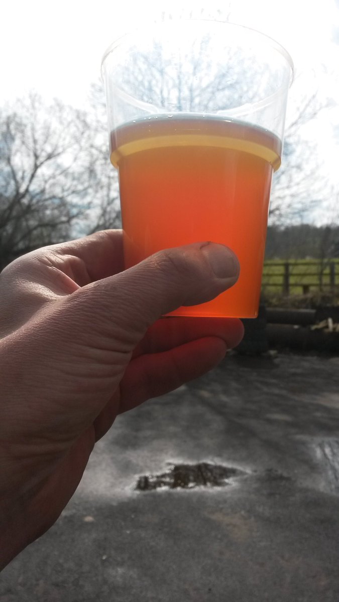 Denis France tweet media