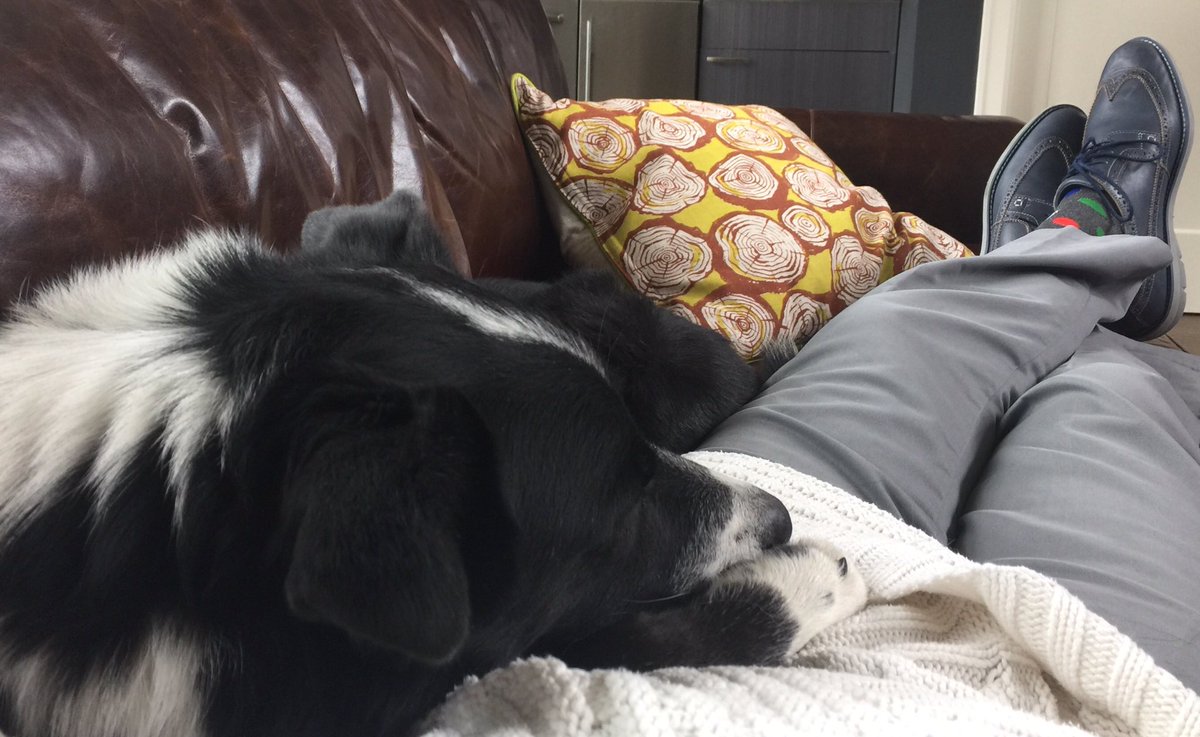 KnutsenJim's tweet photo. As I say, surround yourself with great people and .......Dogs too! #sywgp https://t.co/FVR8Y8v41H