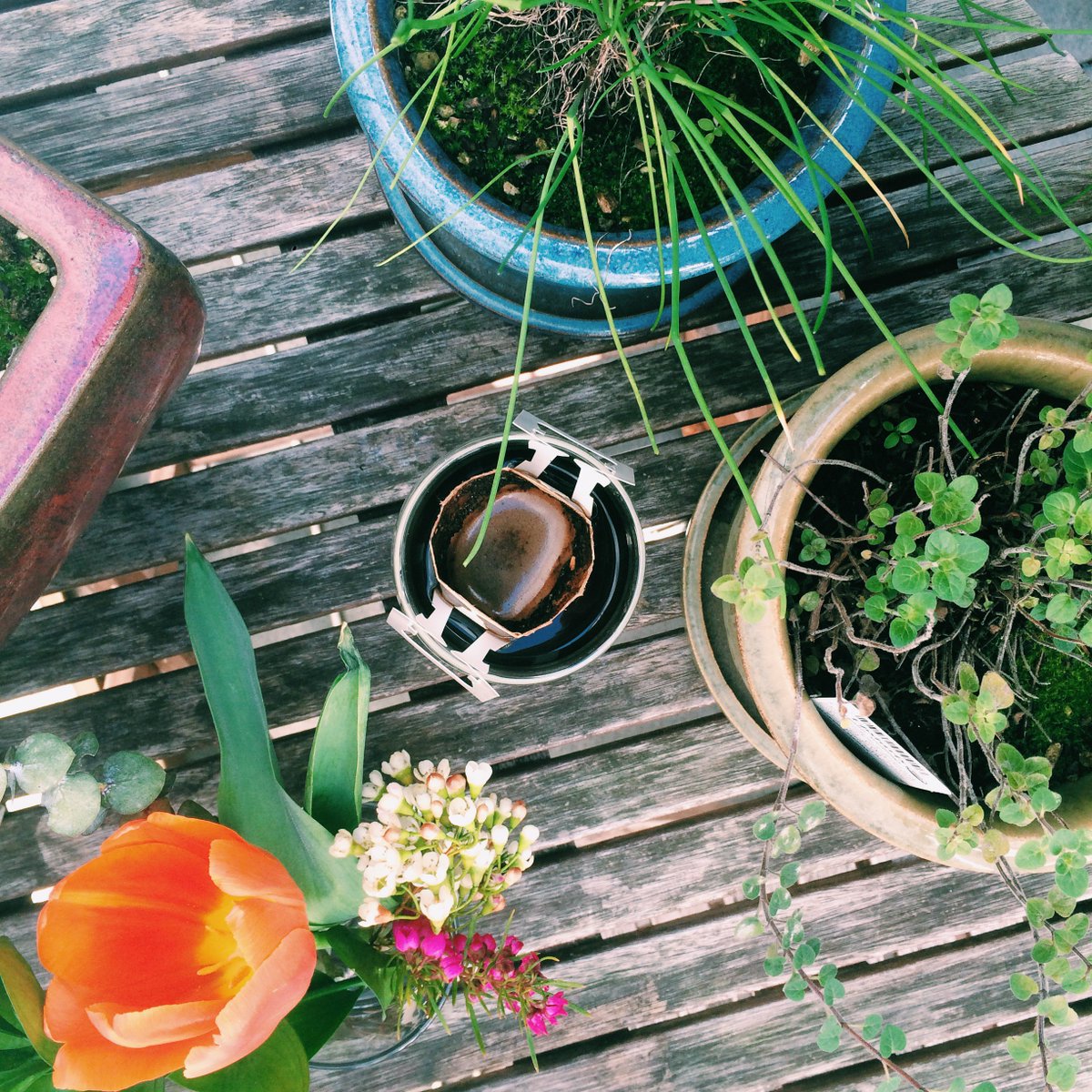 levitybrew's tweet photo. getting in touch with our green thumb. #spring https://t.co/wQqd3V5nOR