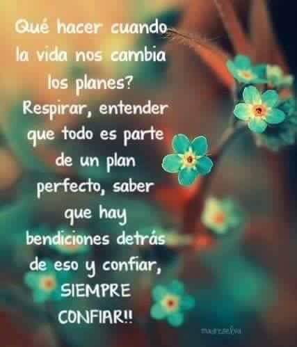 Libroelpoder's tweet photo. https://t.co/YVcUk6Fcev