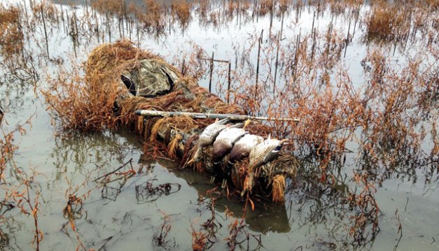 OUTDChannel's tweet photo. How one hunter turned his kayak into a duck-killing machine. https://t.co/N24G2fNKhK @WildfowlMag #Waterfowl https://t.co/Rx5X2RybyI