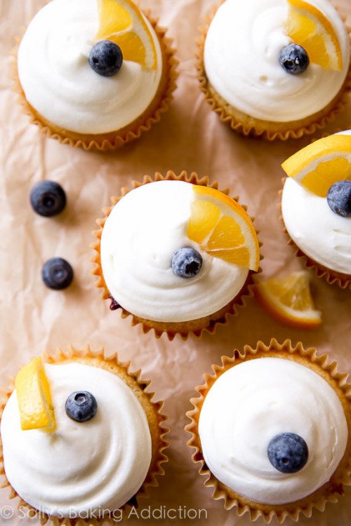 AwwTexts's tweet photo. Meyer lemon blueberry cupcakes https://t.co/5KlBN3oj1M