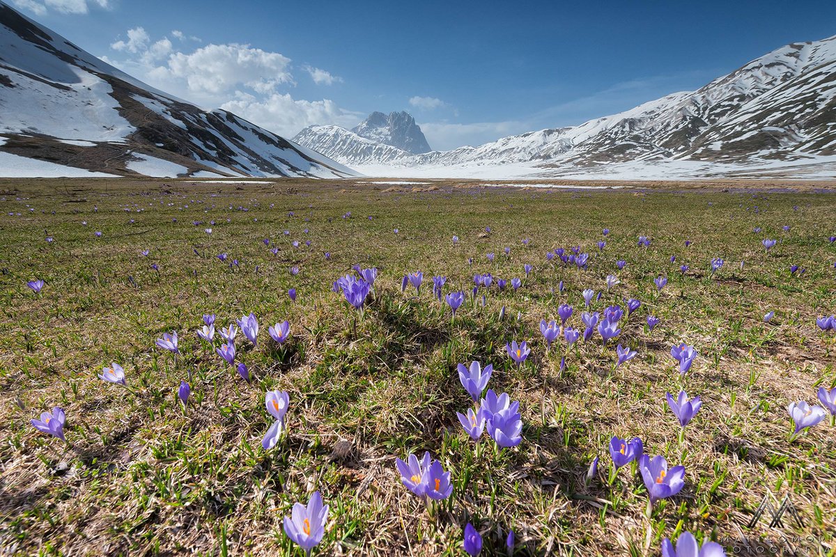SweetItalia's tweet photo. Landscapes of #Abruzzo Ph. Matteo Mori https://t.co/6uoQdCH04c