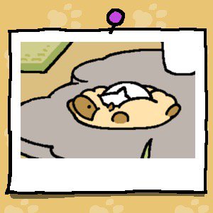 koharu_tya's tweet photo. #ねこあつめ
かわゆゆ https://t.co/YtlNAmDaUU