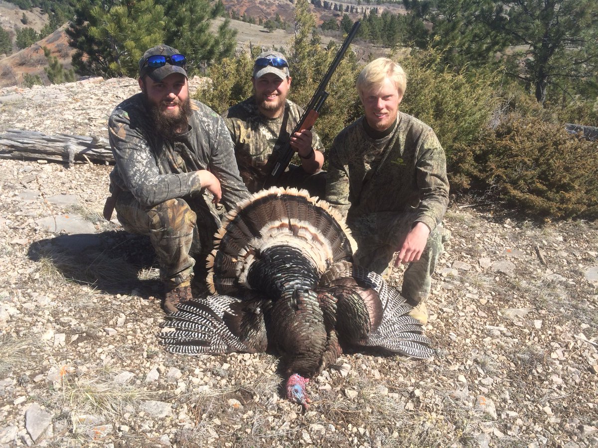 JaceCussins's tweet photo. #wyobirds2016 https://t.co/uWKsYv8nE8
