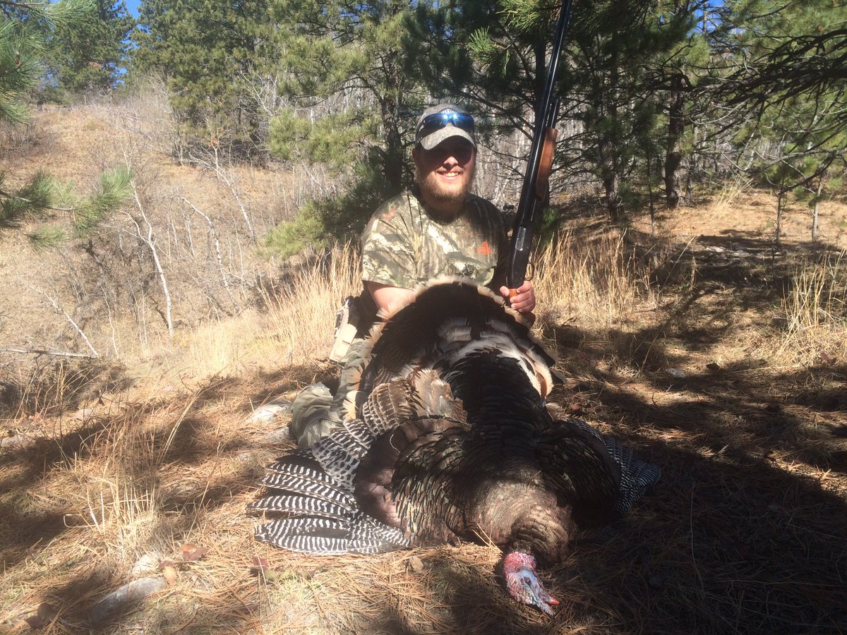 JaceCussins's tweet photo. #wyobirds2016 https://t.co/iDMkyKTuYR
