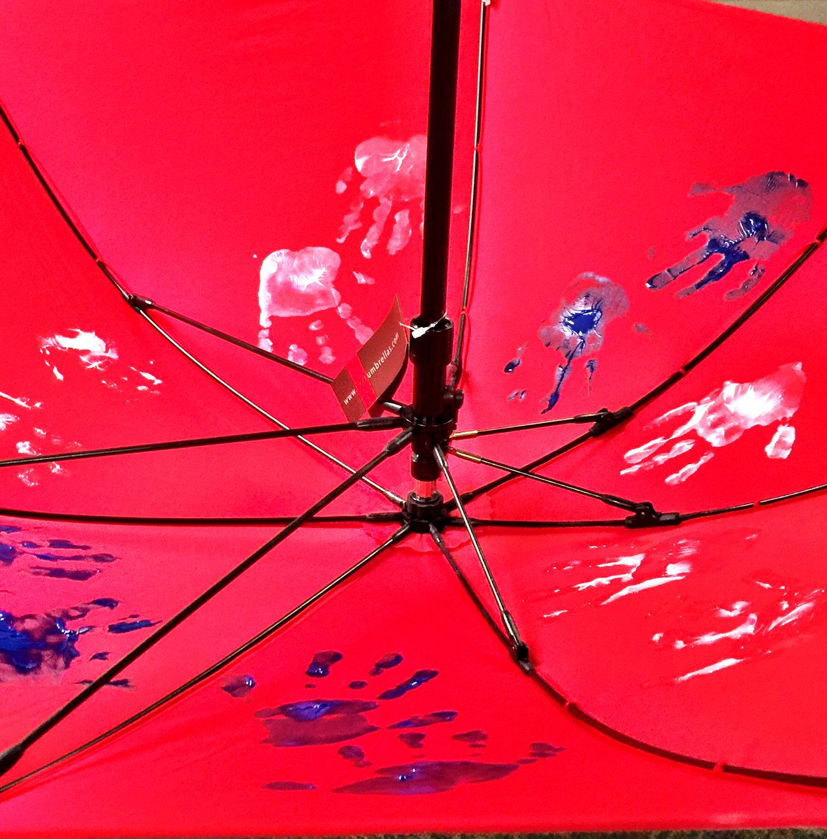 UZOUmbrellas's tweet photo. The cutest #preschoolers hold this #UZO #umbrella up on a #rainyday! Get this at the @regisknights #schoolauction https://t.co/C2KFaK5fz0