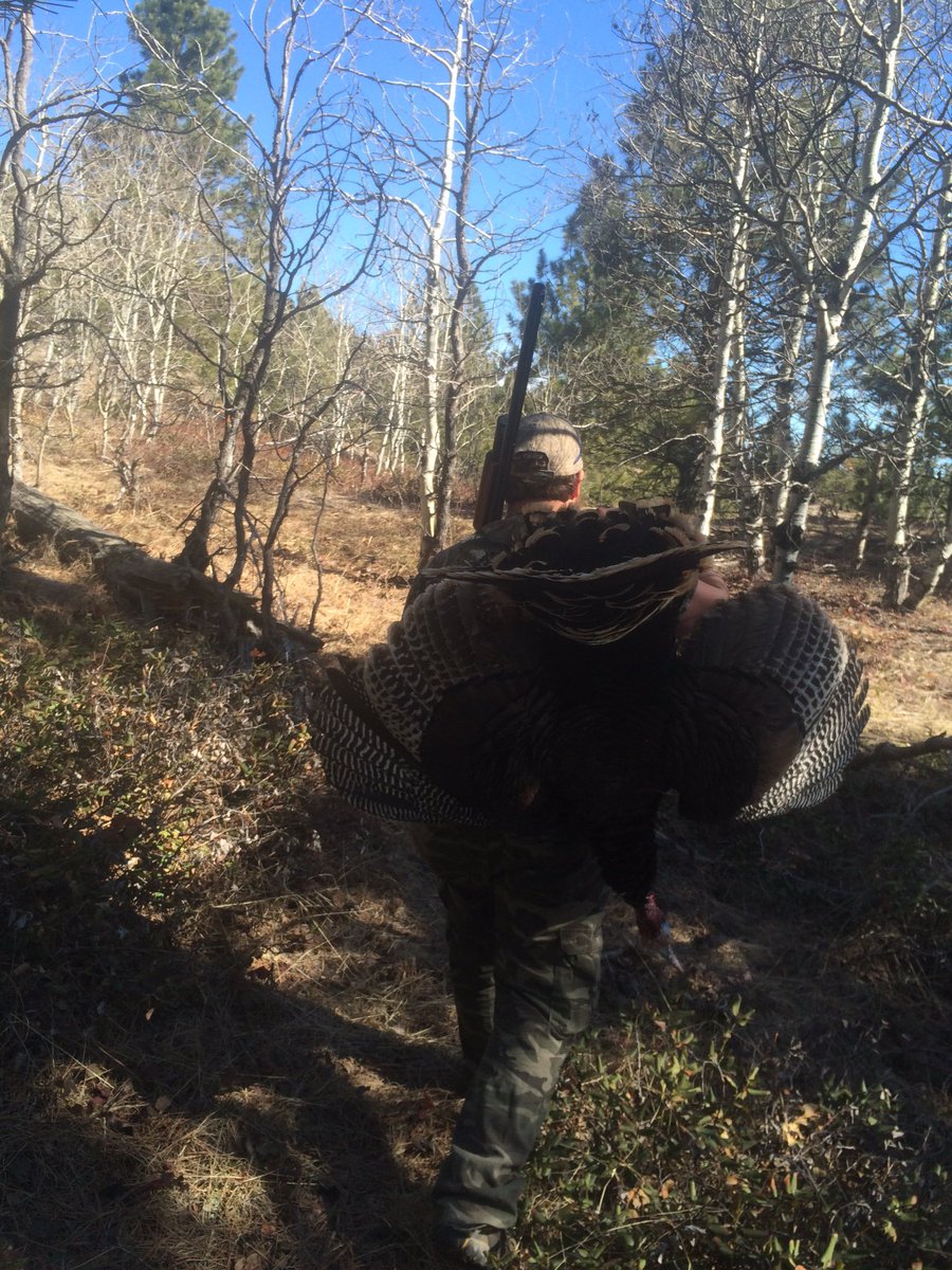 JaceCussins's tweet photo. #wyobirds2016 https://t.co/IiMPBv4lNG