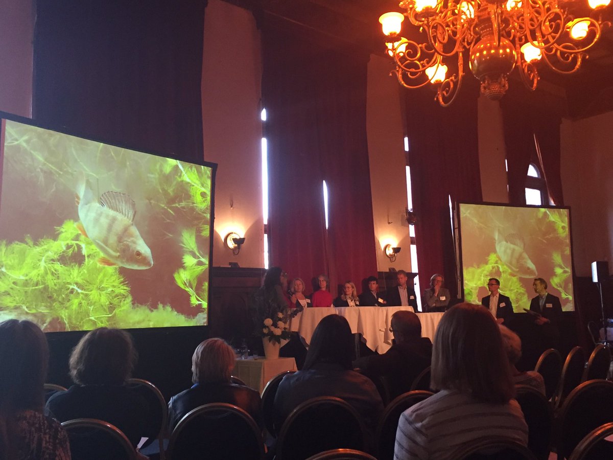DrBrodin's tweet photo. Perch as a symbol for effects of pharmaceuticals in the environment, go perch!! #perch #WatPh16 https://t.co/JgCxw9vzVm