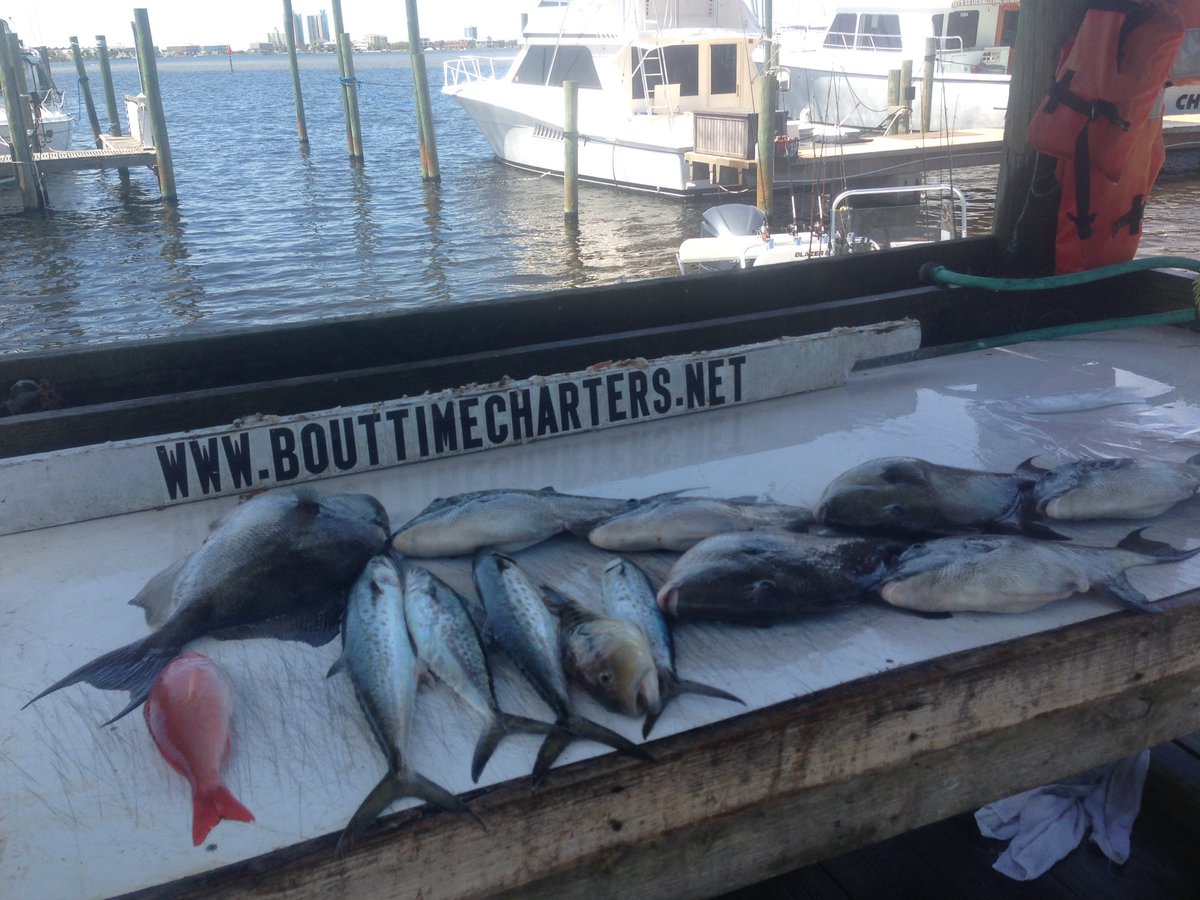fishbouttime's tweet photo. #pensacolafl #perdidokeyfl #boutimecharters spring fishing book now 8503801671#sabinemarina https://t.co/H0cT3wBpQy
