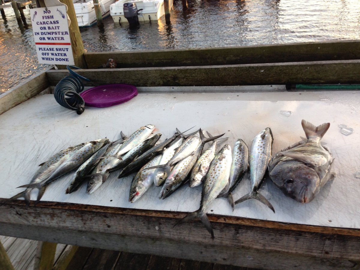 fishbouttime's tweet photo. #pensacolafl #perdidokeyfl #boutimecharters spring fishing book now 8503801671#sabinemarina https://t.co/H0cT3wBpQy