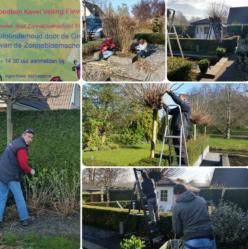 Zo alles weer gesnoeid!
Bedankt jongens en meisjes van de Zonnebloemschool #veilingflevoboys