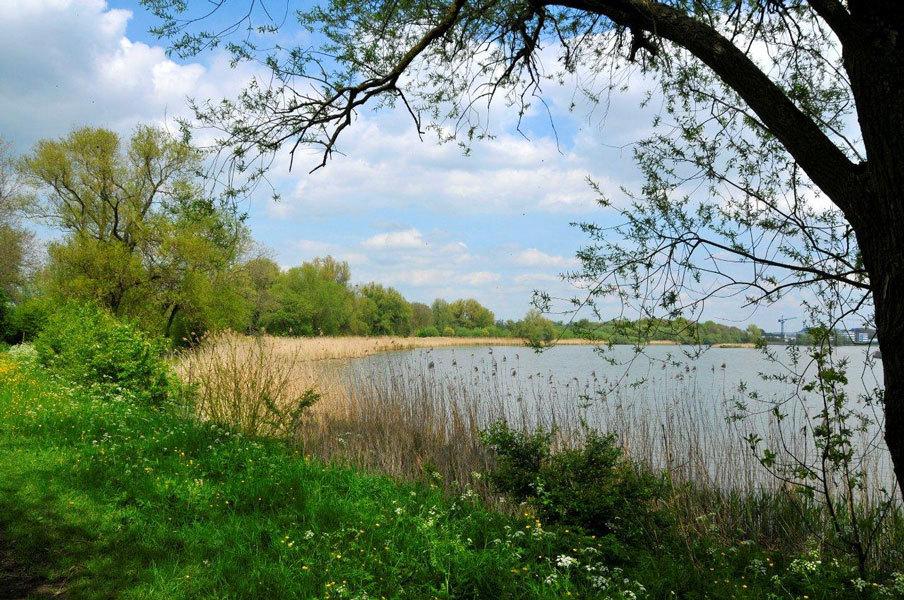 staatsbosbeheer's tweet photo. We hebben een #vacature voor een afdelingshoofd Projecten https://t.co/5ZhQq8TNVy https://t.co/s8MAHtfq94