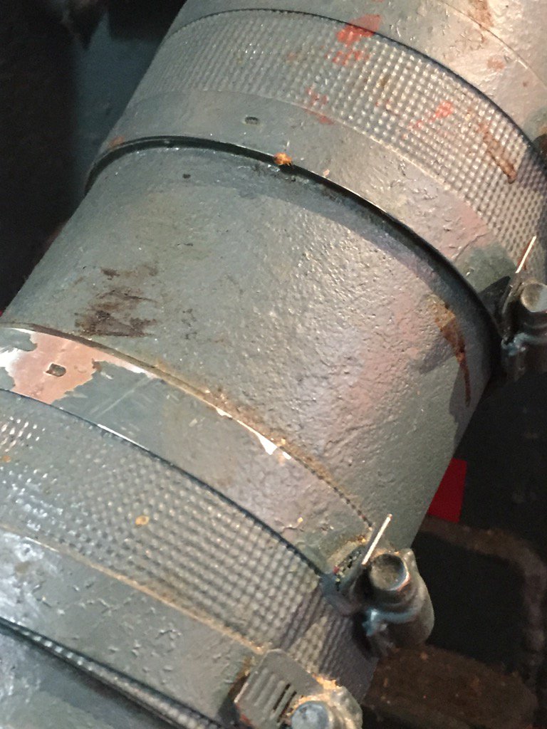 Sitting eating lunch in downtown #philly and look who joined me...how thoughtful #zoomin #bedbugs