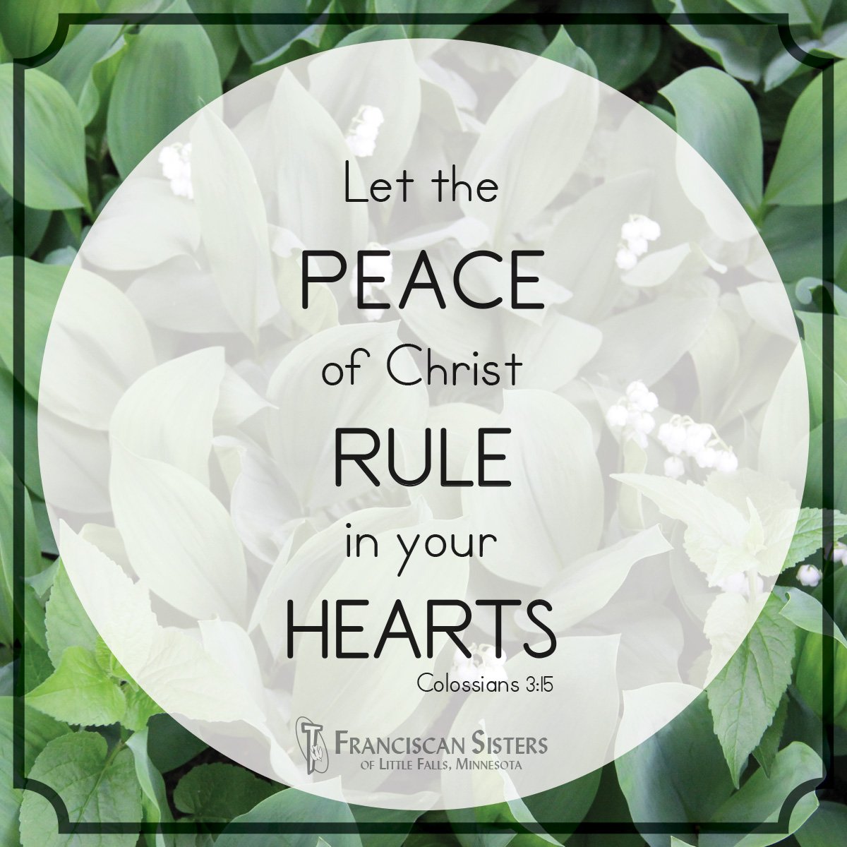 FSLFMN's tweet photo. Just stop a moment and deliberately set your heart and mind on Jesus and the Word of God. #LetChrist #peace https://t.co/tH6zhdctUF
